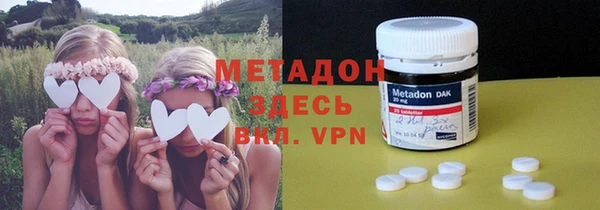 прущие грибы Балабаново