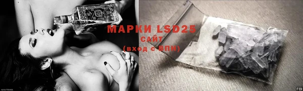 прущие грибы Балабаново
