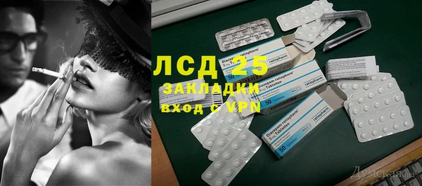 прущие грибы Балабаново