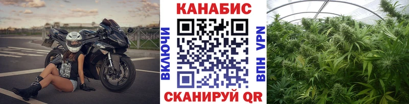 где можно купить   Волгоград  Конопля конопля 